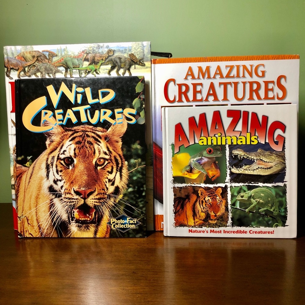 Children’s Animal Hardcover Books Set of 4